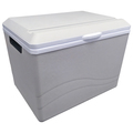 Koolatron Kool Kaddy Thermoelectric AC/DC Cooler/Warmer, 36QT P75